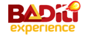 Badili Experience